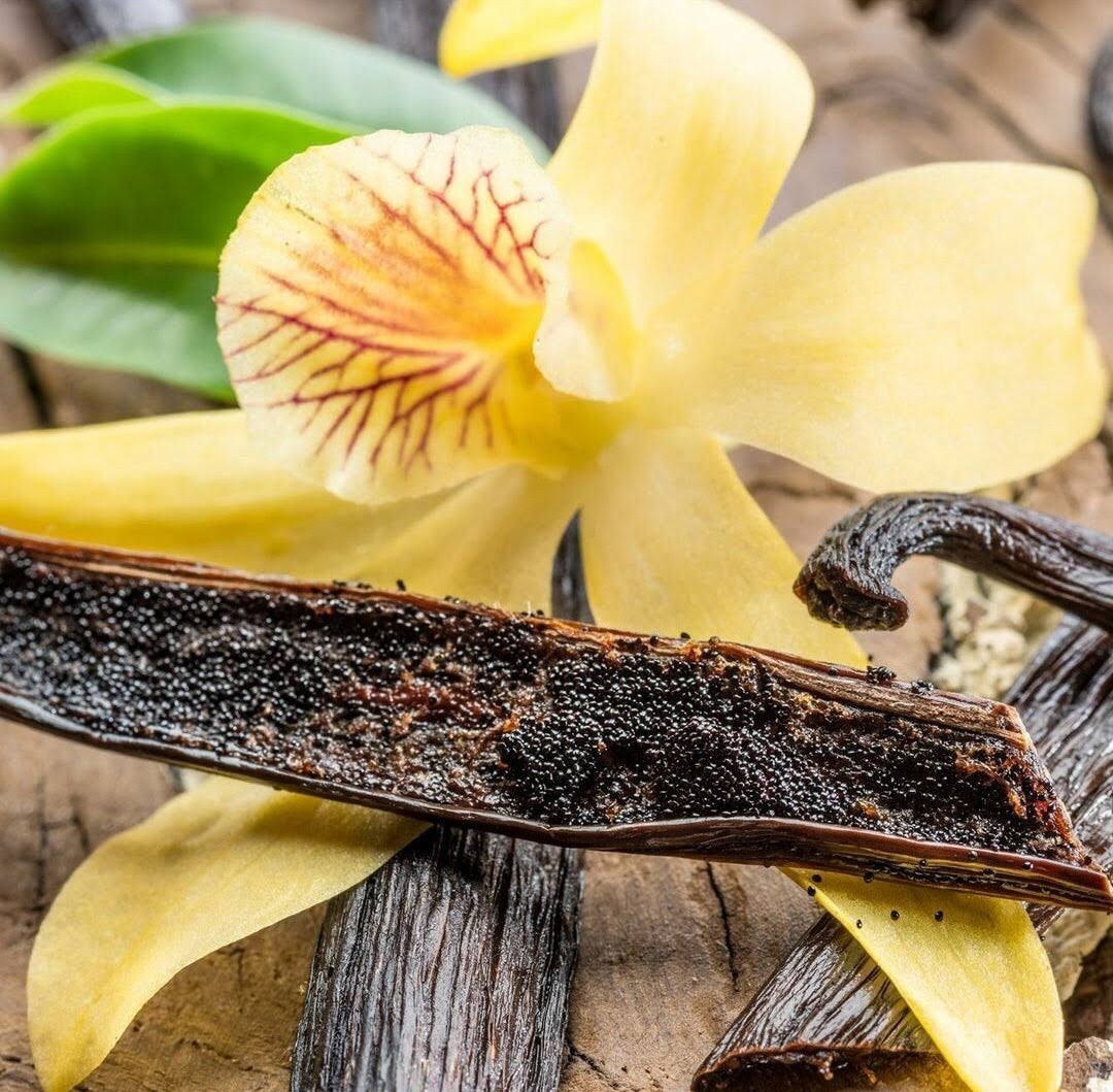 Smoked Vanilla (Type) Fragrance Oil