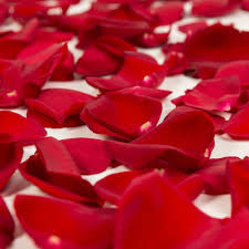 RED ROSE PETALS - FRAGRANCE OIL - South FL Candle Supply